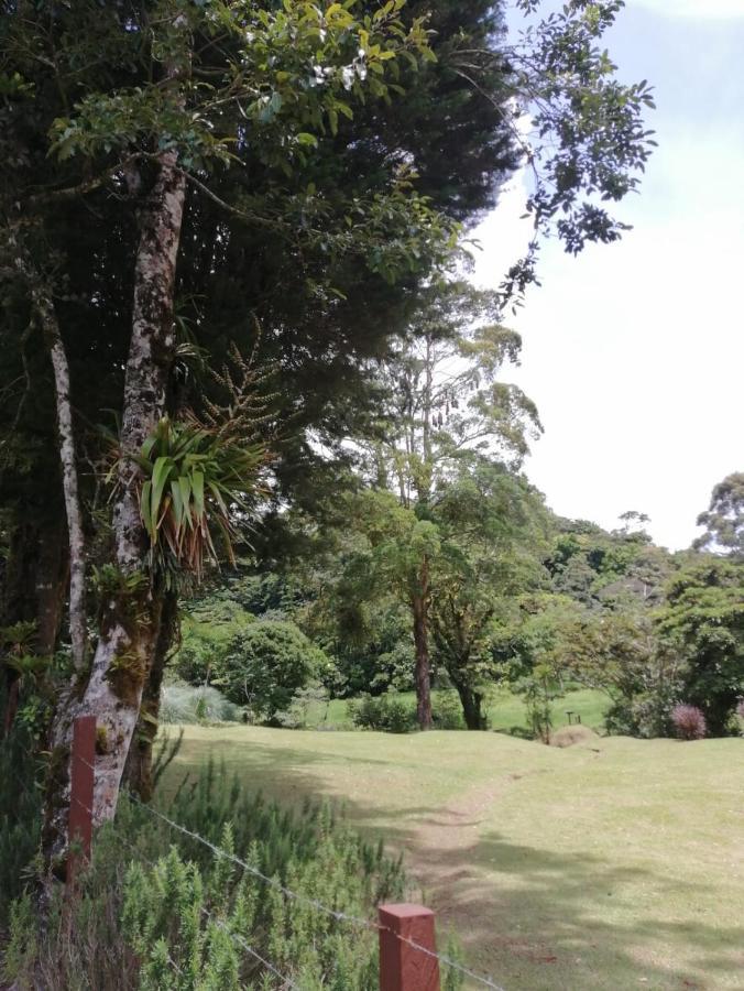 Casa Mia, Near Main Attractions And Town! Monteverde