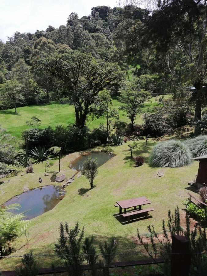 Casa Mia, Near Main Attractions And Town! Monteverde